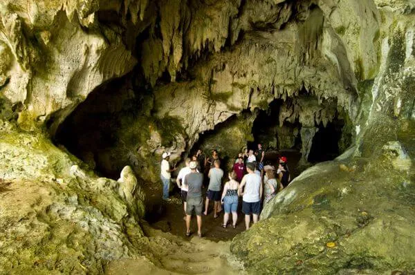 Los Haitises y Caño Hondo — foto 2