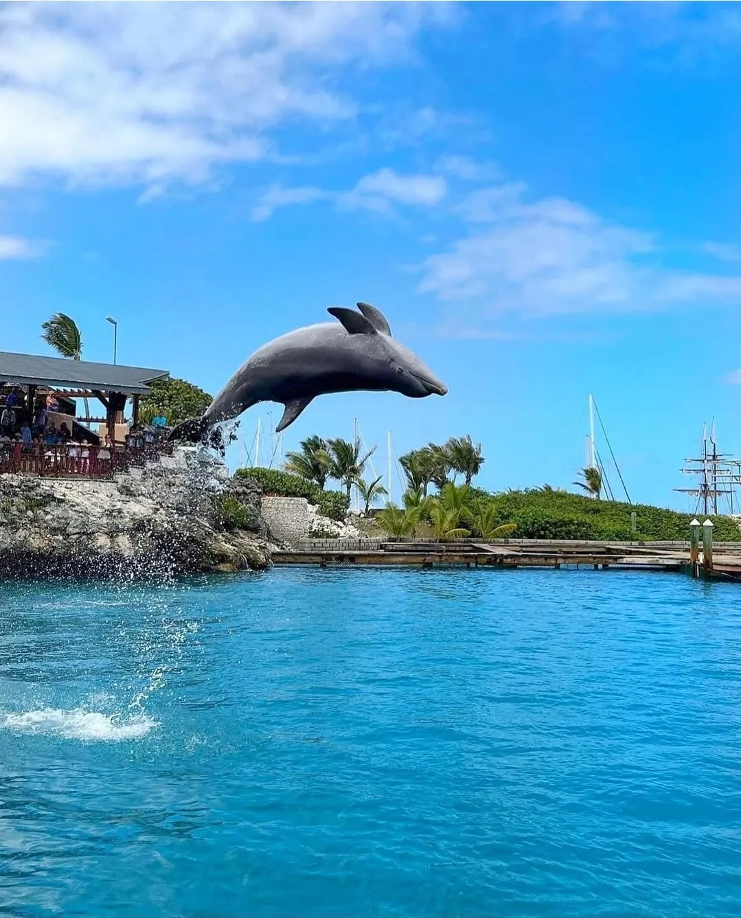 Ocean World — foto 1