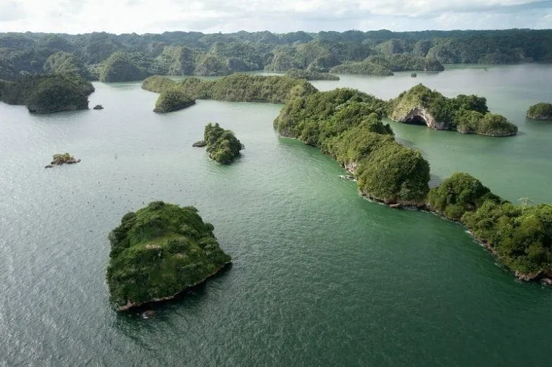 Los Haitises y Caño Hondo — foto 1