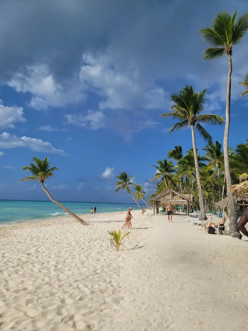 Isla Saona